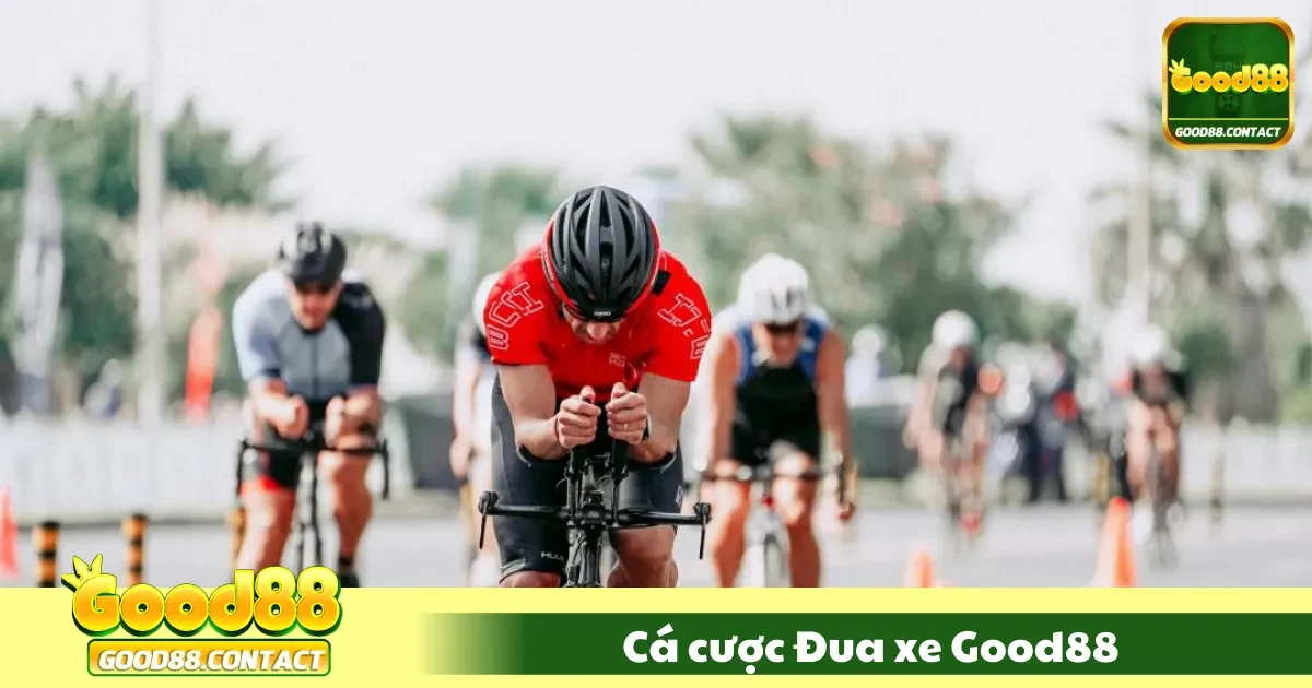 Cá Cược Đua Xe Good88 - Trải Nghiệm Tốc Độ Đỉnh Cao 2 Cá Cược Đua Xe Good88 Là Gì? Hướng Dẫn Cách Đặt Kèo Chi Tiết