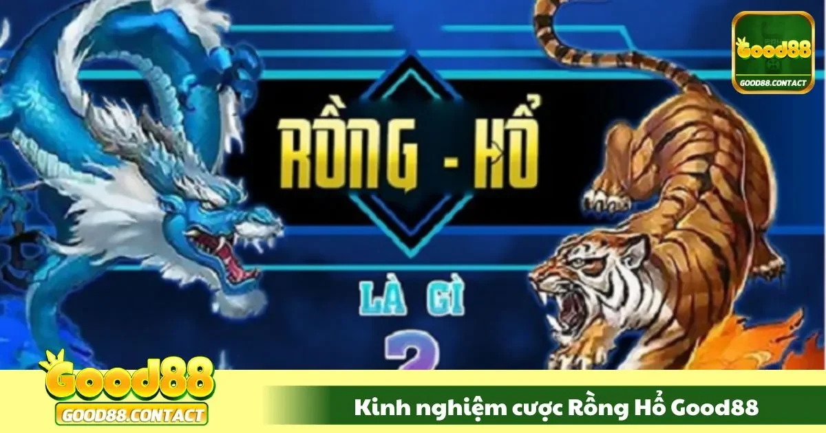 Kinh Nghiệm Cược Rồng Hổ Good88 Từ Tay Chơi Chuyên Nghiệp 2 Thời điểm đặt cược tiền rất quan trọng